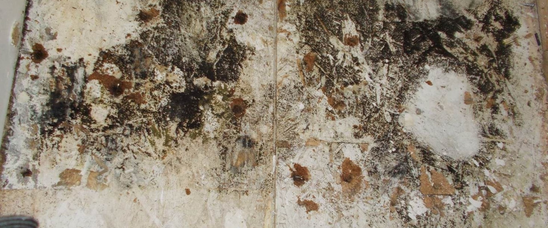 Can Not Changing Air Filter Cause Mold?